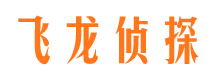 叠彩市场调查